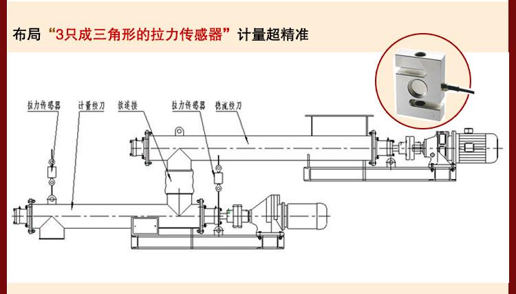 技術(shù)為先，國諾信科為廣大用戶提供高性能螺旋計(jì)量稱